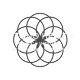 Ozono3 Health